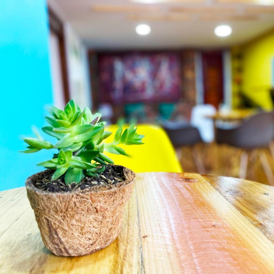 Hostal Macondo โบโกตา ภายนอก รูปภาพ